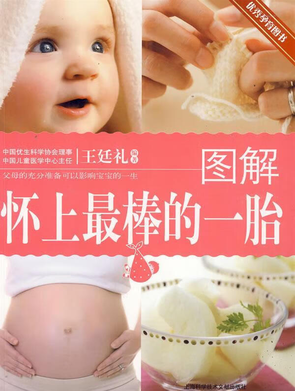 图解怀上的一胎【正版好书，下单速发】