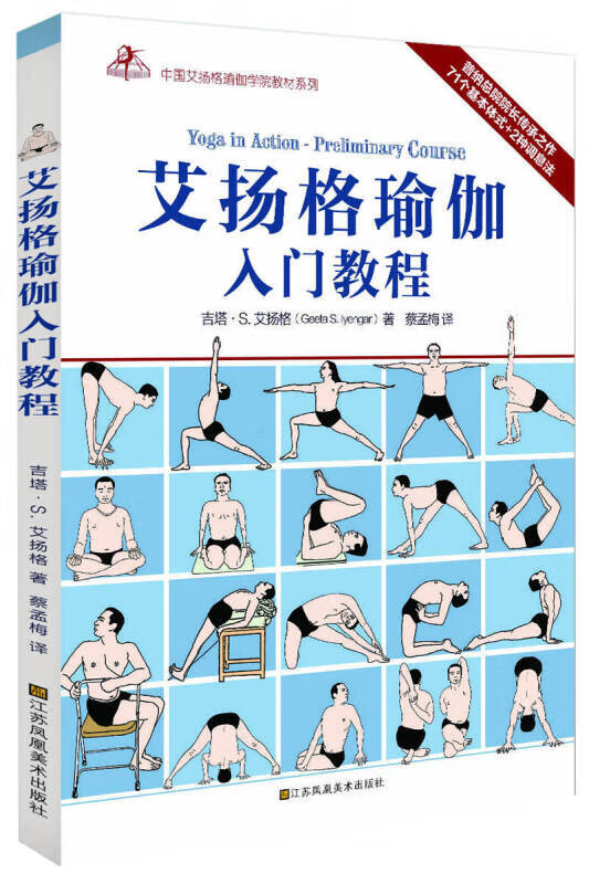 艾扬格瑜伽入门教程【正版好书,下单速发】