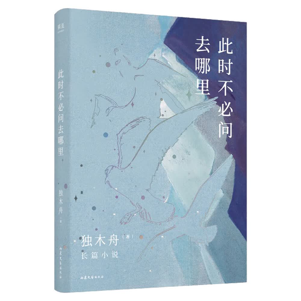【包邮】此时不必问去哪里(80后作家独木舟暌违五年,2020长篇力作)