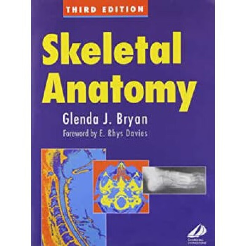 预订预订skeletal anatomy
