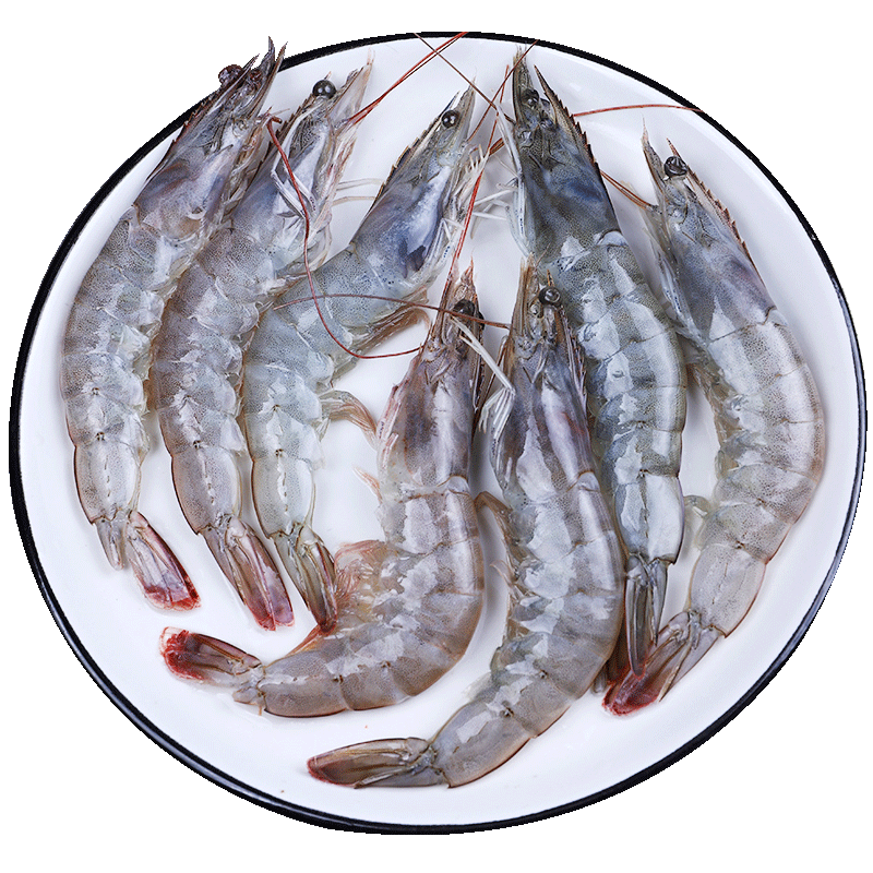 �ʰ�ͷ��Ϻ�ൺ��Ϻ��������Ż�ΧϺ�ʻ��䶳��Ϻ��Ϻ ����ˮ��������� 16-18cm 3��(����)  �ൺ��Ϻ�ζ�