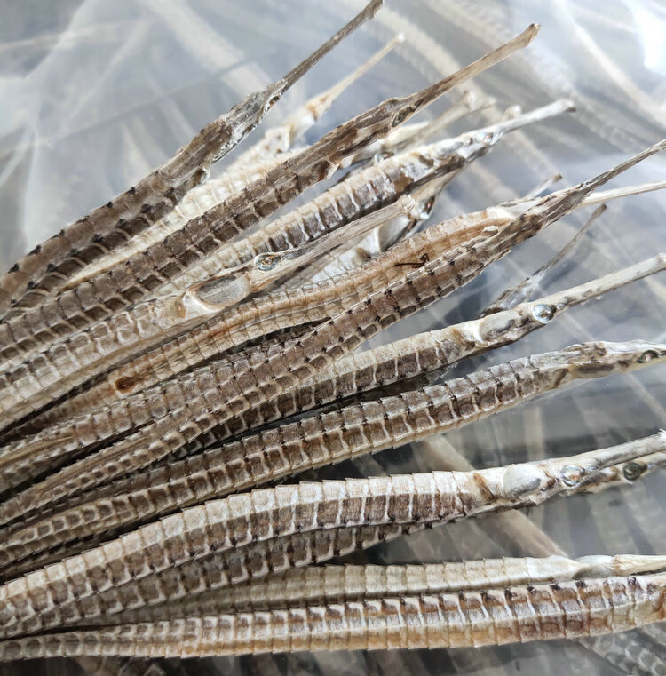 源于花香 六角海龙正宗大刁海龙干货煲汤泡酒料养生滋补中药材天然无