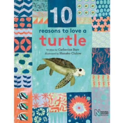 预售 10 Reasons to Love a Turtle...