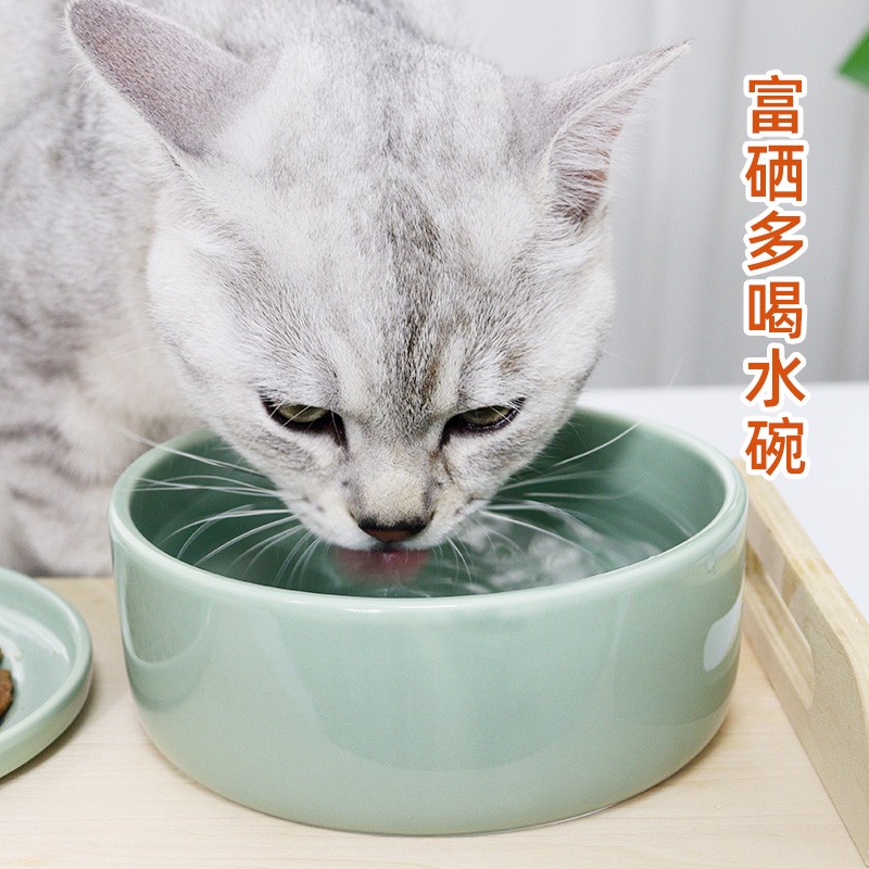 Petio 日本原装进口富硒矿石狗碗猫碗宠物健康饮水碗让爱宠喜欢上喝水 犬猫通用水碗M