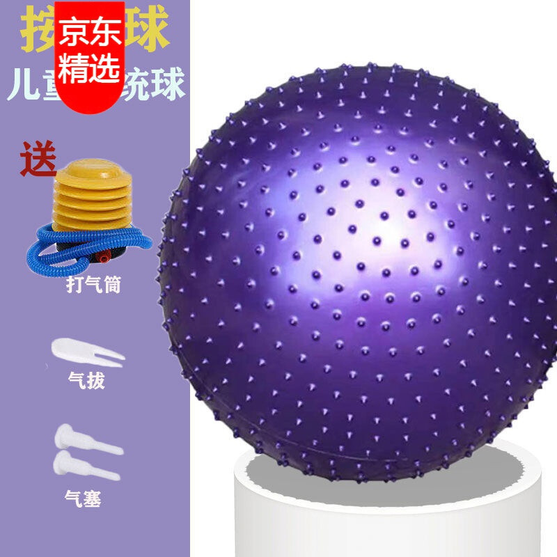 DZQ品牌的45cm瑜伽球价格走势、评测和推荐