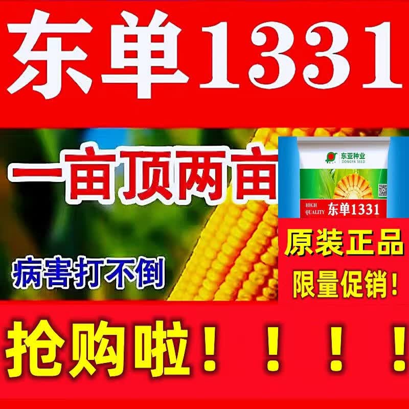 旺园兴新种国审东单1331高产玉米种子辽宁东亚种业厂家直销升级玉米原种 东单1331玉米种4400粒-1袋