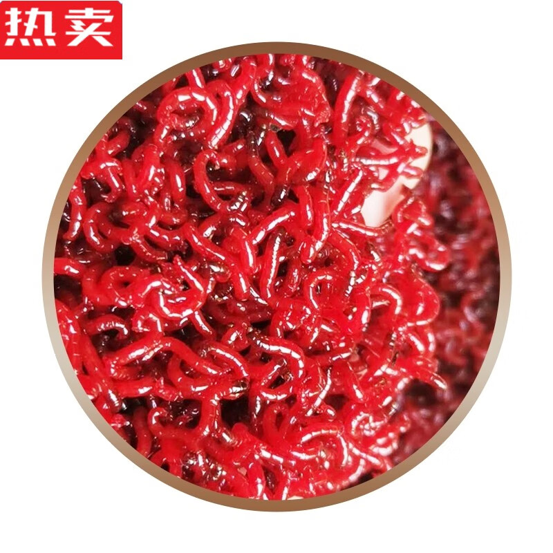 木兰旅红虫活饵鲜活黑头公虫活体特大号垂钓拉饵鱼食鲫鱼饵料建华鱼饵