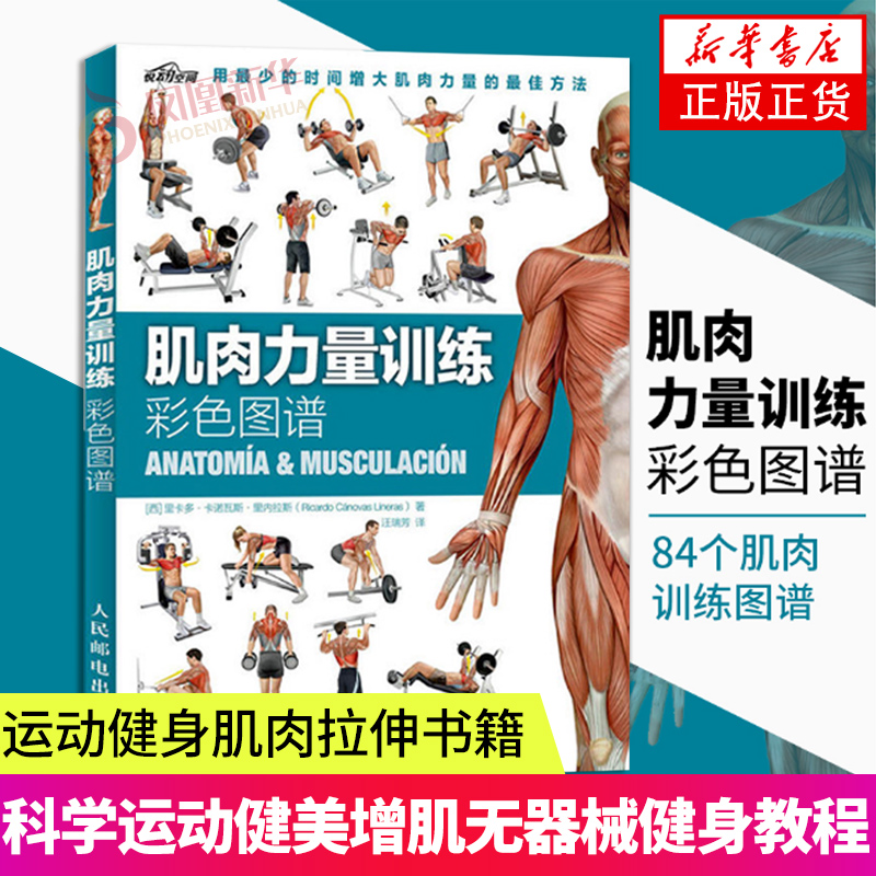 肌肉力量训练彩色图谱拉伸训练书体育运动健身书籍练肌肉力量训练全书减脂增肌健身教练书籍健美书