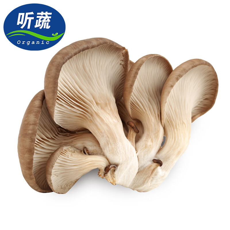 听蔬 新鲜蘑菇 平菇1斤 无农残 基地直发 孕老幼放心食材 500g