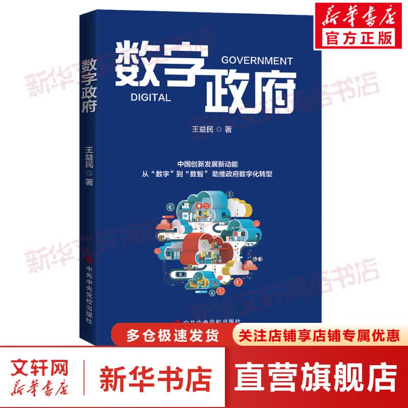 数字政府