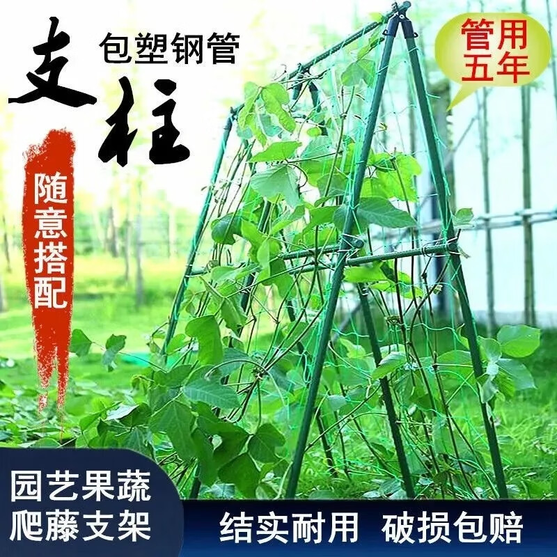 卫东包塑钢管支架杆家用植物花架子室外庭院架杆豆角黄瓜爬藤架番茄架 直径20mm长150cm【10支装】