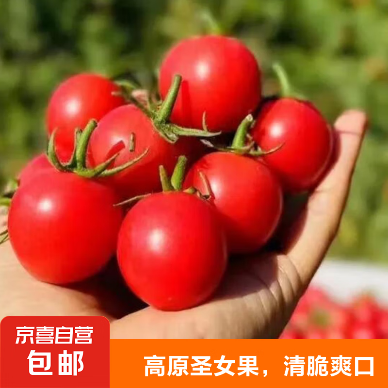 云南圣女果小西红柿酸甜新鲜孕妇水果蔬菜整箱批发非千禧 云南圣女果 3斤 带箱