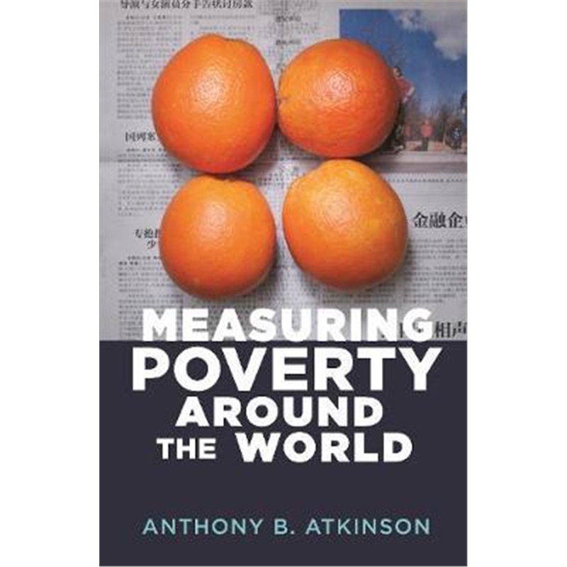 Measuring Poverty around the World kindle格式下载