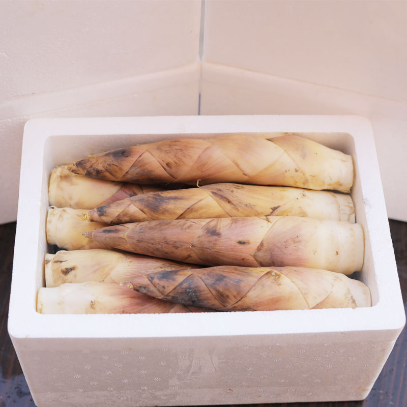 绿鲜森春笋临安现挖竹笋新鲜雷笋蔬菜生鲜 大笋5斤净重 (每斤4-6根)