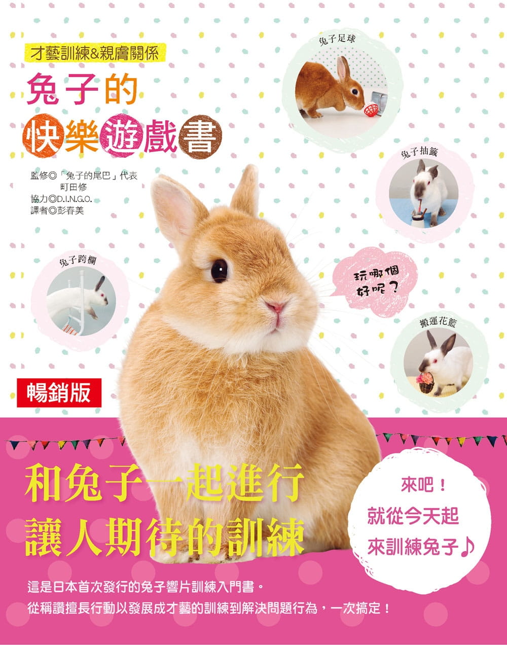 现货 町田修兔子的快乐游戏书（畅销版）汉欣