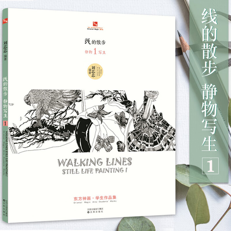 线的散步静物写生1 东方神画学生作品集 