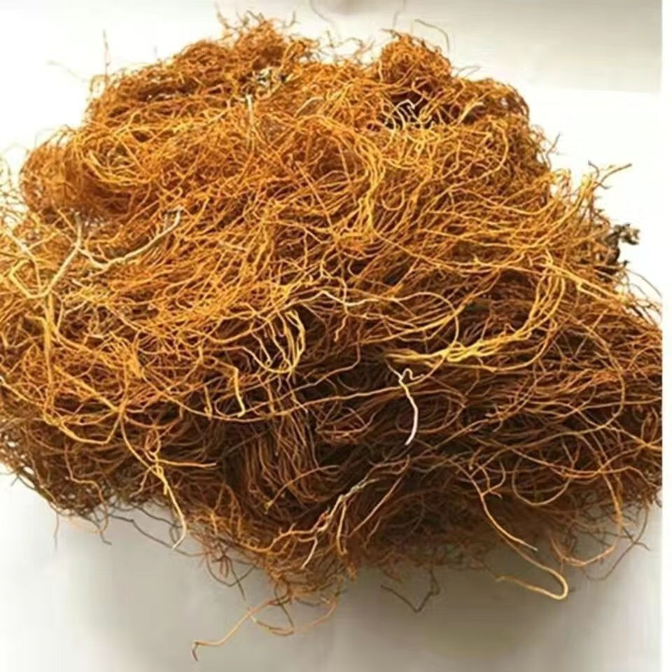 红雪茶云南 云南红血茶西藏野i生红雪茶鹿心雪茶金丝茶100·g包邮 500