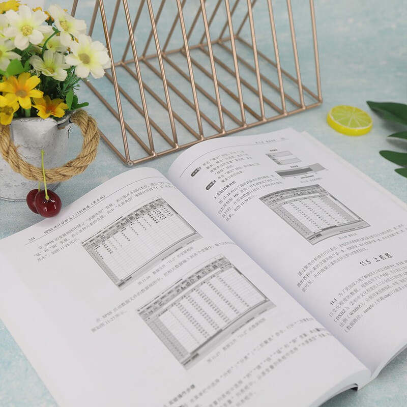 SPSS统计分析从入门到精通(第五版)
