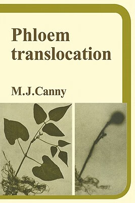 预订 phloem translocation