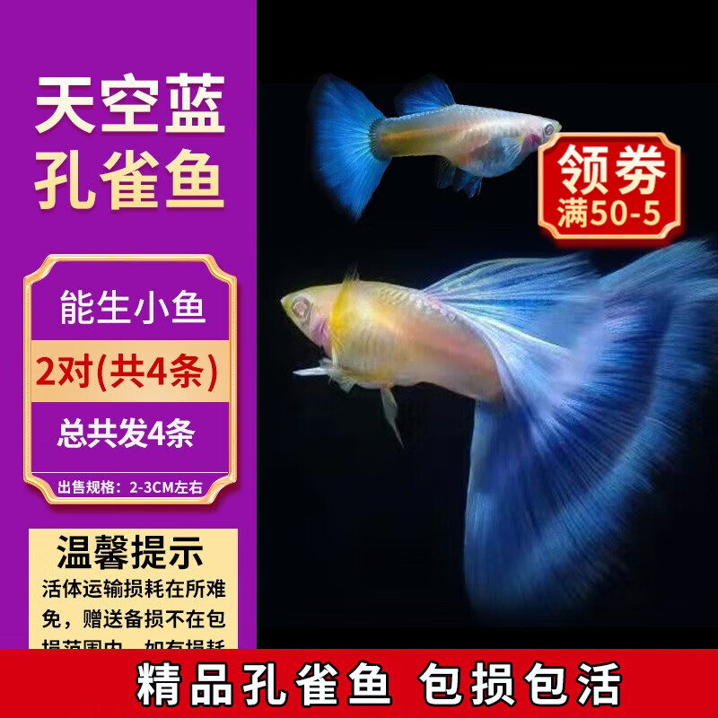 怎么看京东水族活体历史价格曲线|水族活体价格历史