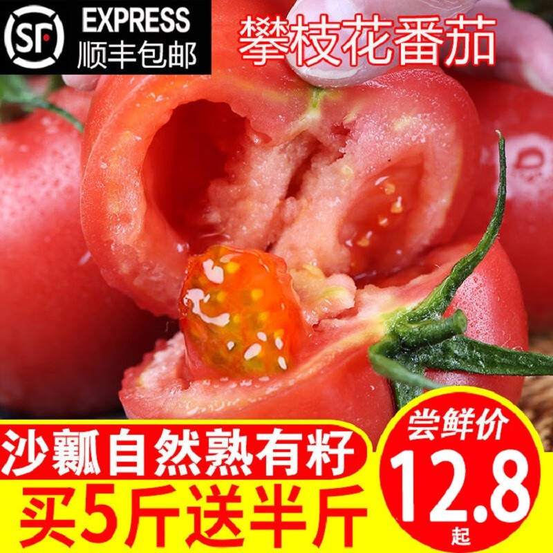 攀枝花米易沙瓤番茄普罗旺斯新鲜生吃的蔬菜自然熟西红柿 5斤