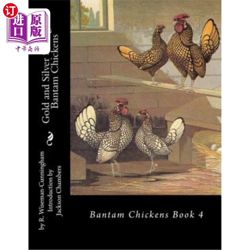 海外直订gold and silver sebright bantam chickens 金和银sebright