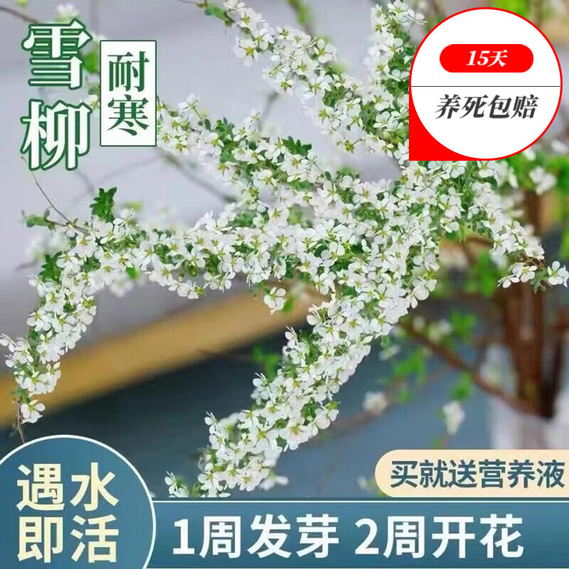 京东新品首发 2022-12-11 - 第25张 | 最新购物优惠券 京东新品首发 2022-12-11 - 第25张 | 最新购物优惠券