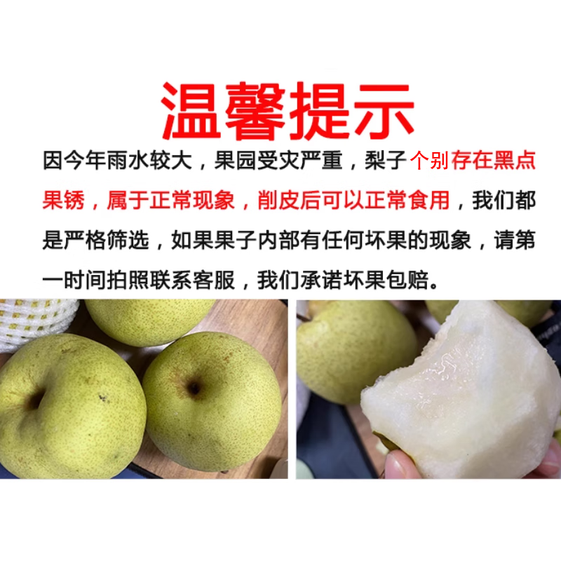 陕西蒲城酥梨 冰糖雪梨当季新鲜水果脆甜多汁现摘现发 陕西酥梨4.5-5斤 | 单果250g
