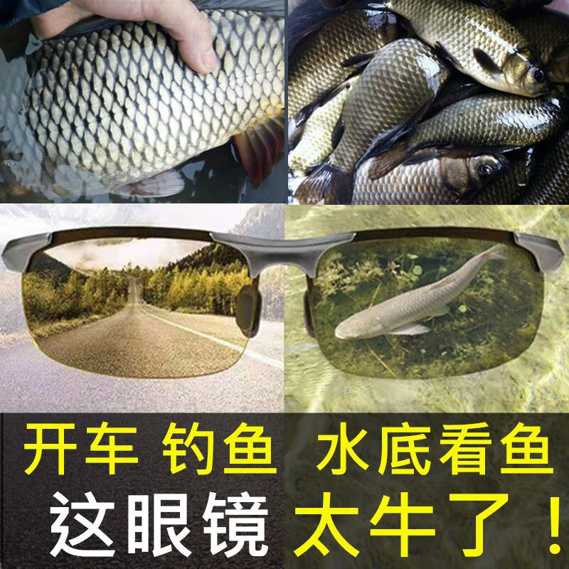 fsydfhb眼镜可见水下三米钓鱼眼镜看水底专用射鱼眼镜高清户外垂钓0