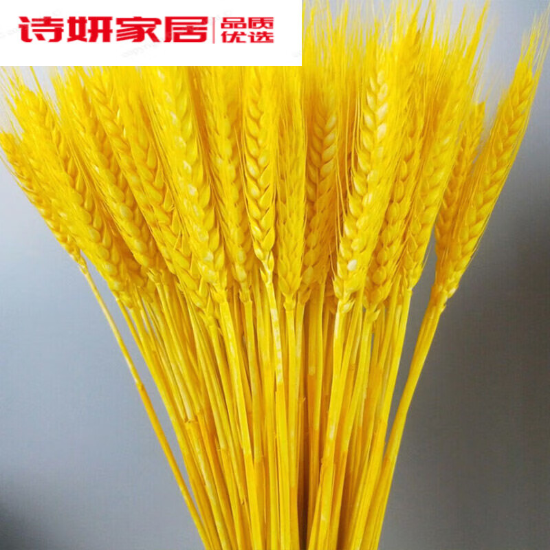 永旋金色麦穗干花天然小麦客厅田园装饰展会摆件演出道具开业大麦花束