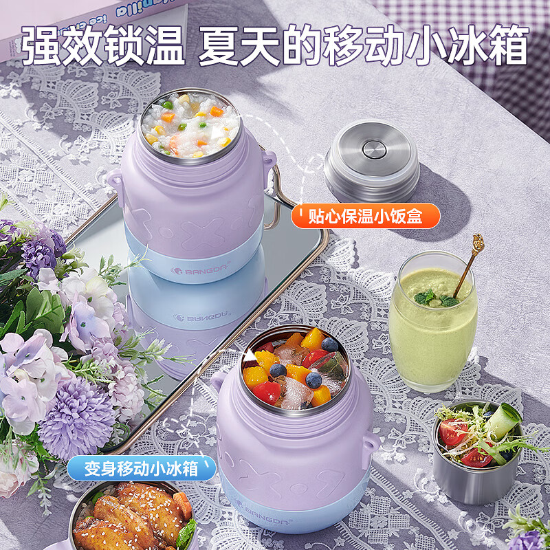 邦达（bangda） （FH62）不锈钢316焖烧杯双层焖烧饭盒保温煮杯焖烧壶煮粥神器 紫色【316款】 1200ml