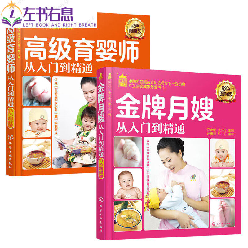 月嫂从入门到精通+高级育婴师从入门到精通 月子营养 餐食谱书孕妇育儿知识 大全坐月子书籍月嫂培训教材产后