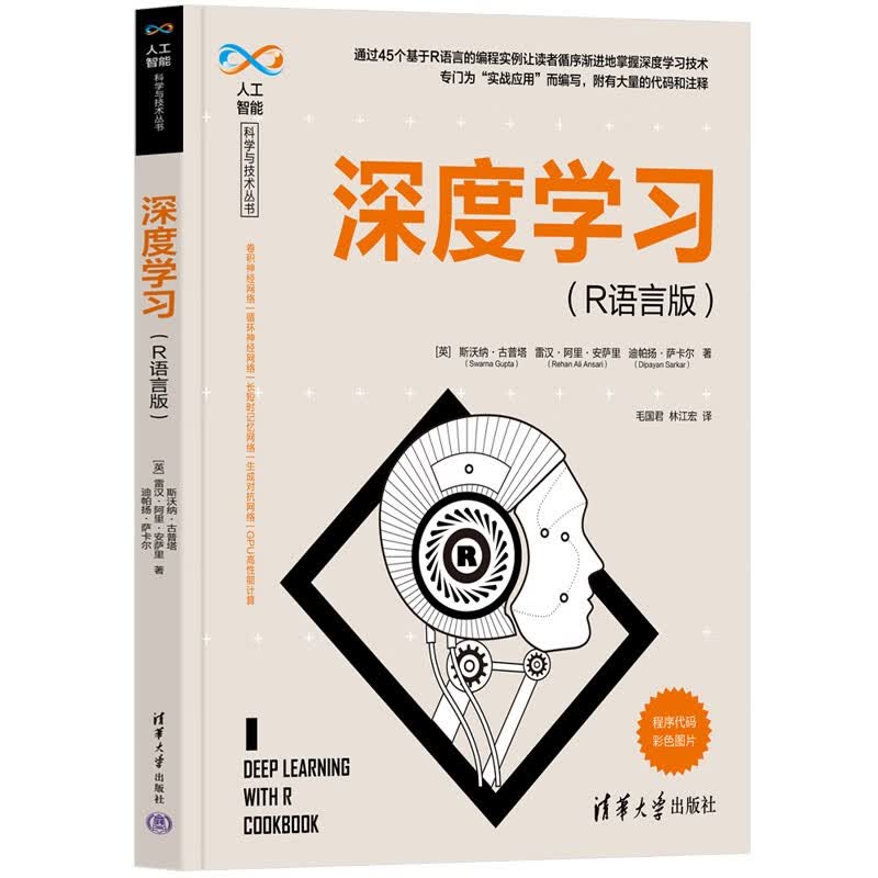 深度学习（R语言版）（人工智能科学与技术丛书）