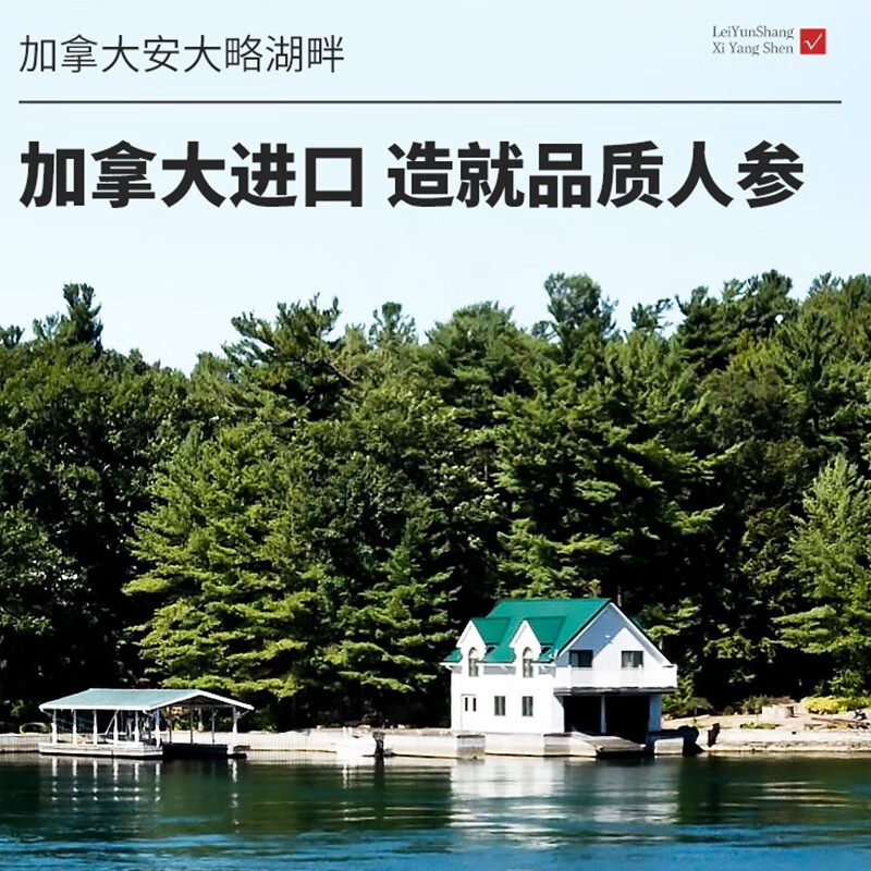 雷允上【加拿大原产】西洋参须100g进口正宗花旗参根须补品泡水煲汤原料 加拿大西洋参根须*1瓶