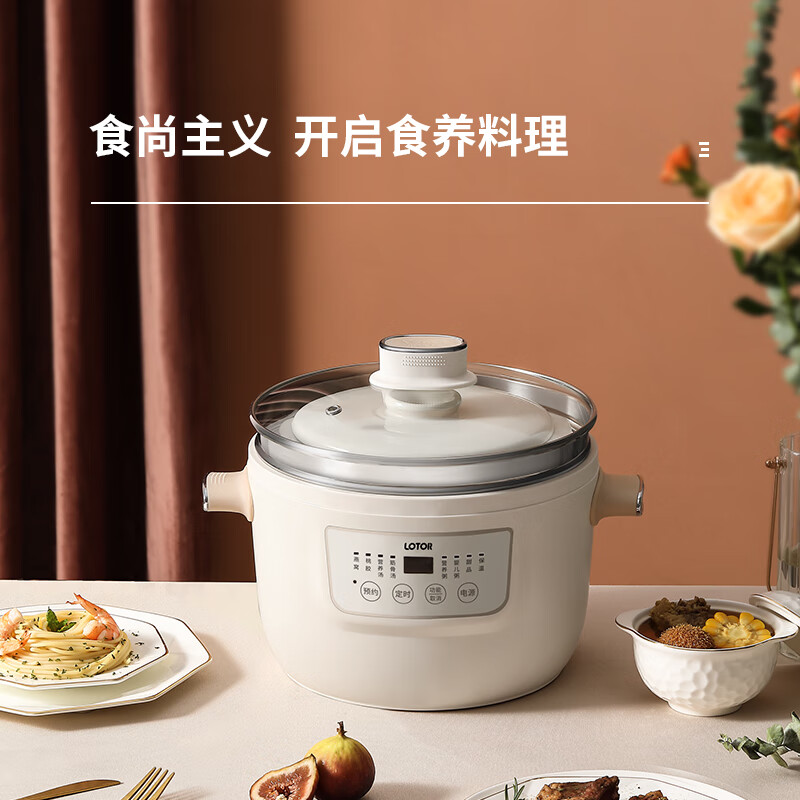 小浣熊电炖锅煮粥神器电炖盅隔水炖锅燕窝炖盅全自动煲汤锅宝宝婴儿
