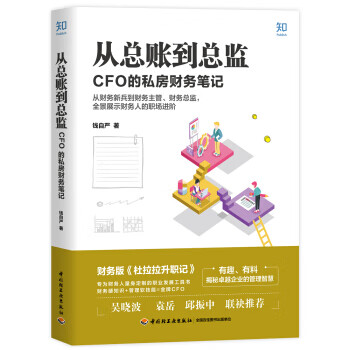 从总账到总监:CFO 的私房财务笔记