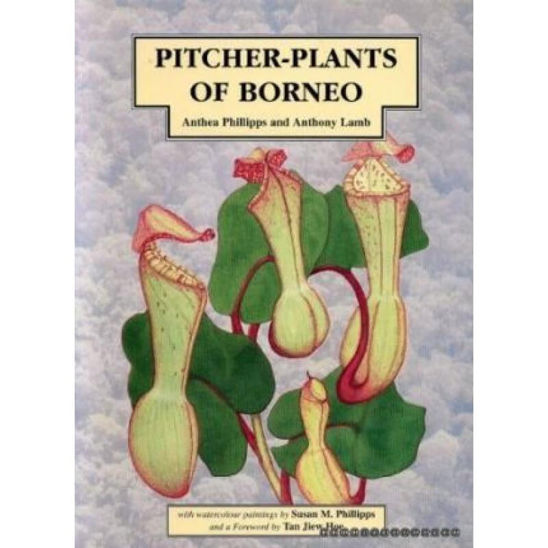 预订 pitcher-plants of borneo