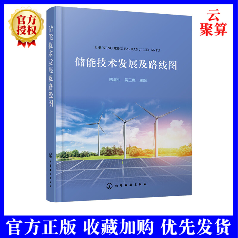 2020新书 储能技术发展及路线图 陈海生 吴玉庭 能源与动力工程储能产业发展 储能技术特性市场化