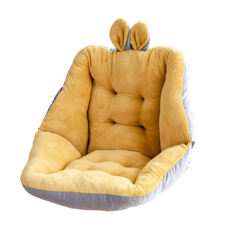 怎样查询京东坐垫产品的历史价格|坐垫价格比较