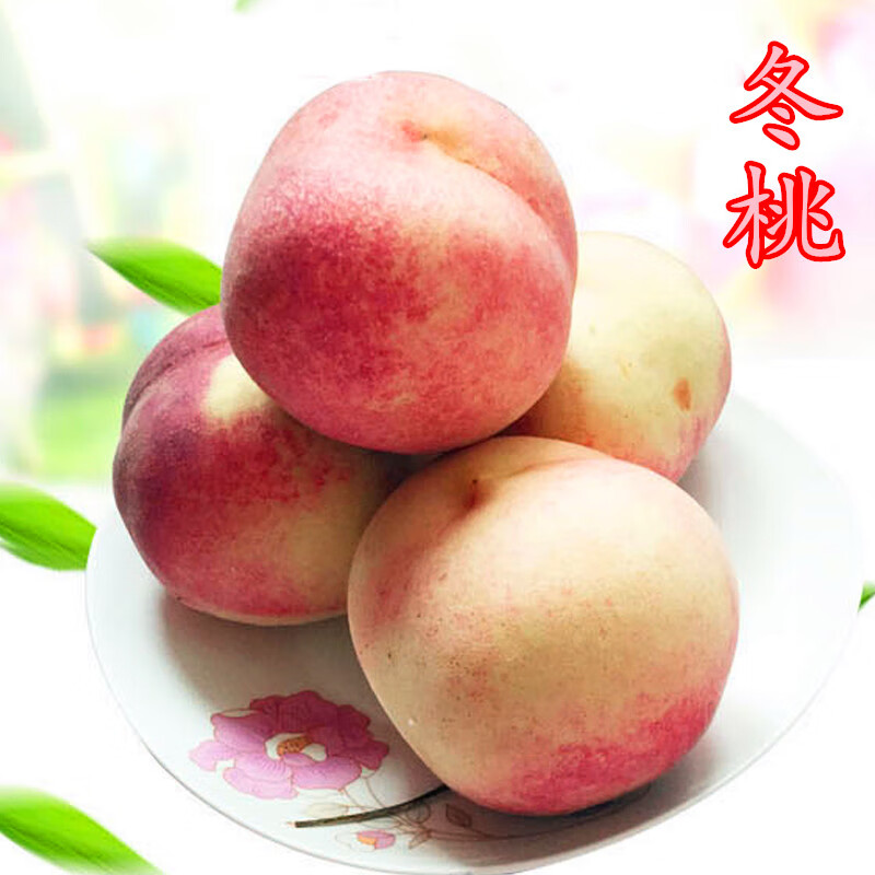 青樱红荔冬桃特产水蜜桃雪桃应季新鲜水果现摘产地直发5斤 生鲜团建