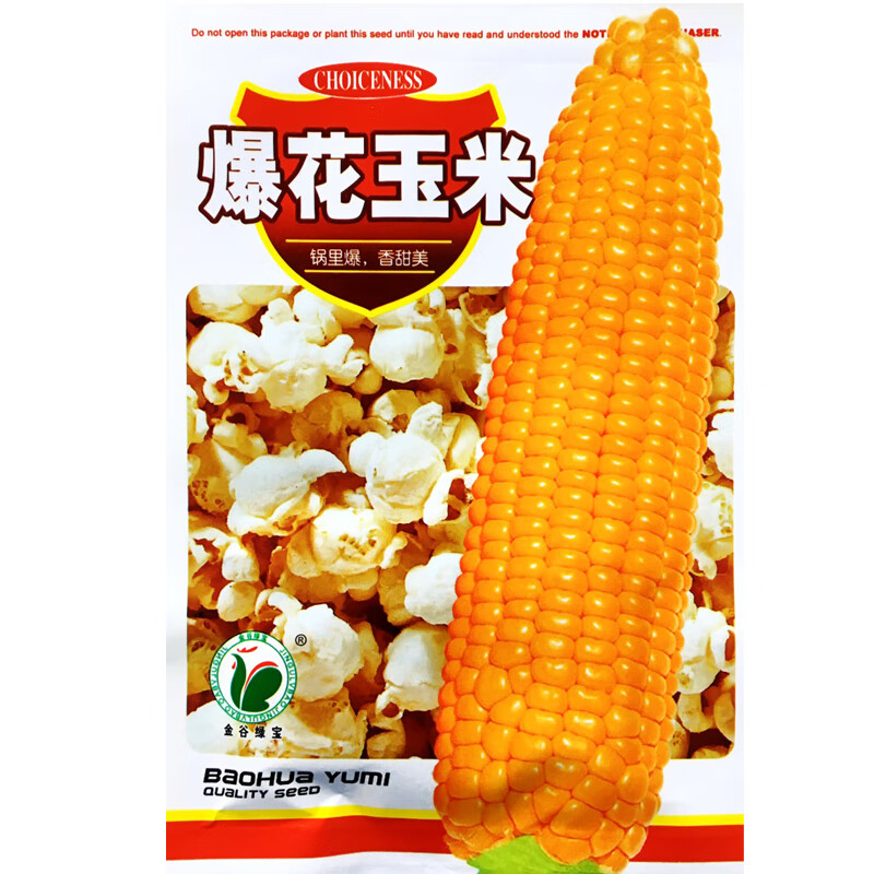 咯咚爆米花玉米种子春季夏秋季盆栽简单四季专用球形爆裂玉米种籽孑