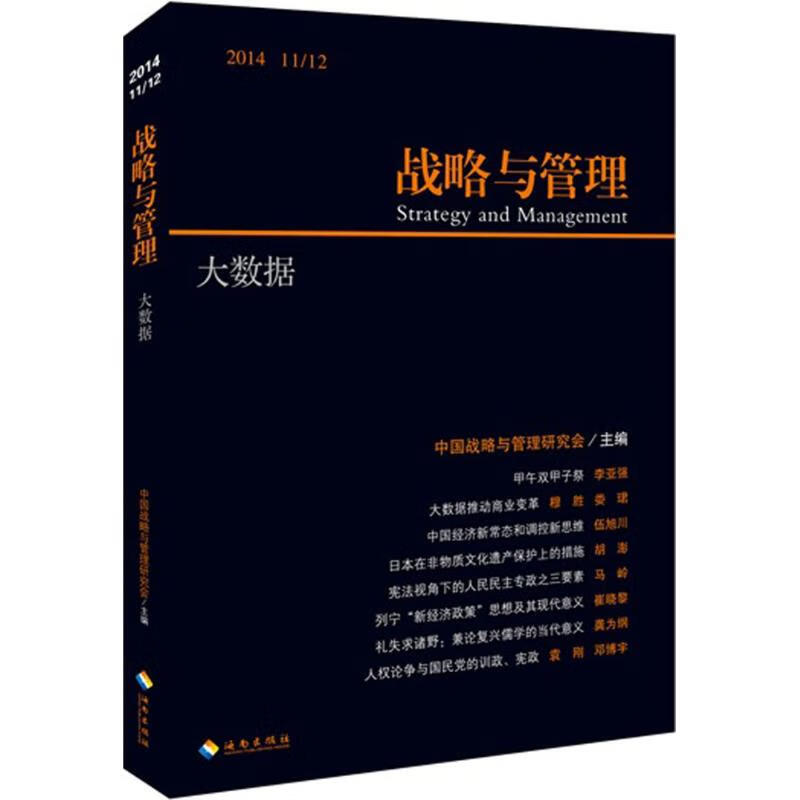大数据 中国战略与管理研究会 主编 书籍