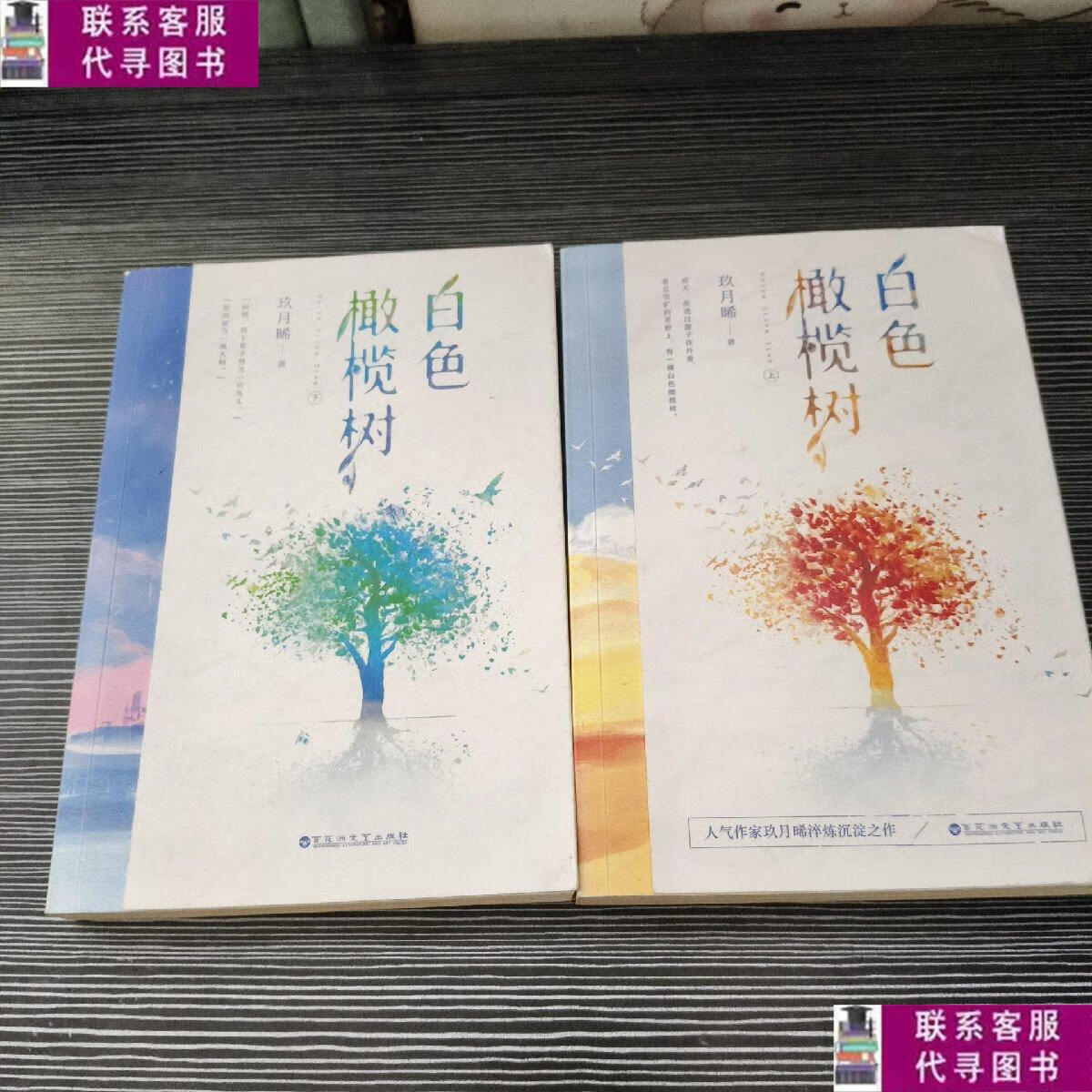【二手9成新】白色橄榄树(2册) /玖月晞 百花洲文艺出版社