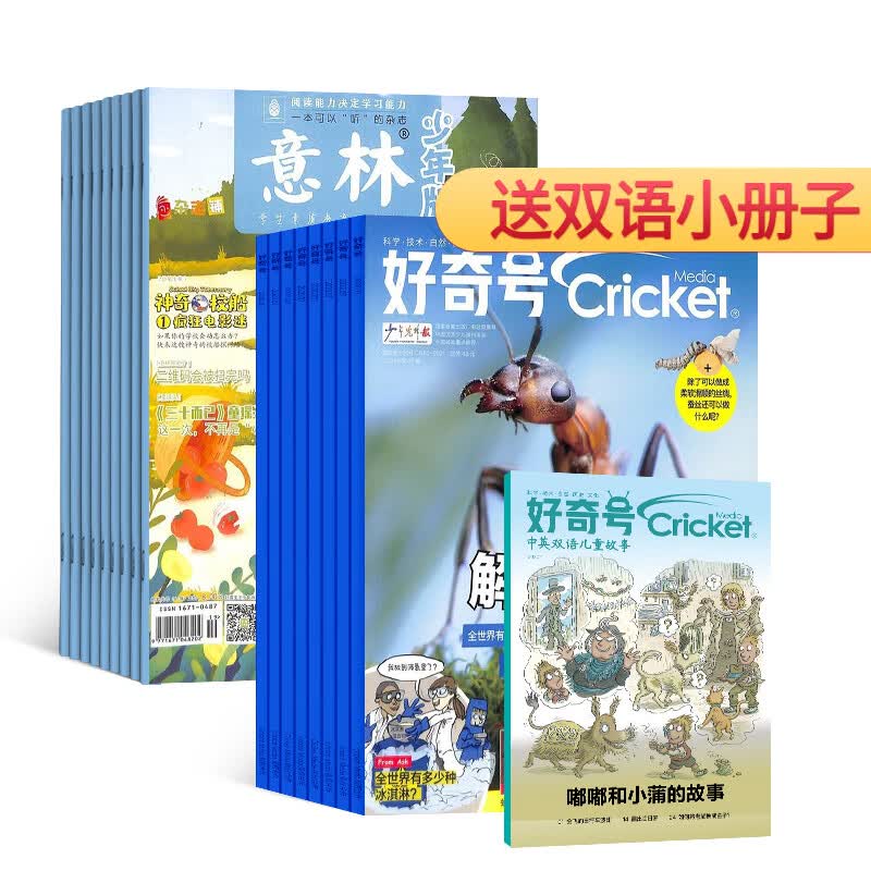 【11.11预售】包邮 好奇号+意林少年版杂志订阅 2024年1月-12月 组合共36期杂志铺 少儿阅读亲子共读高性价比高么？