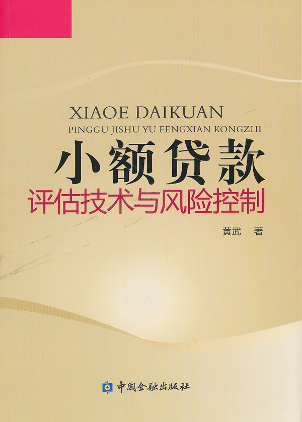 小额贷款评估技术与风险控制 黄武 著【正版】