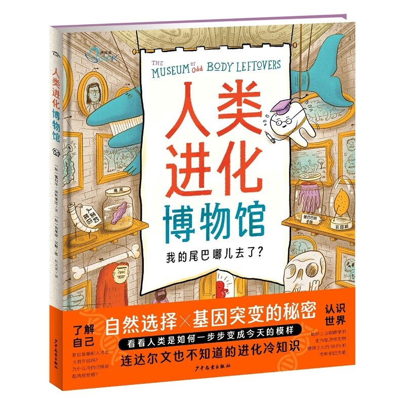 人类进化博物馆 精装绘本洛伦兹系列 小学生自然科学读物少儿科普绘画版揭秘人类进化历史的秘密暑假课外阅读书籍