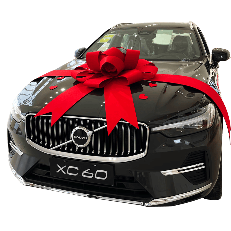 云舵汽车4s店新车展提车交车仪式陪嫁车布置装饰成品加厚大蝴蝶结红花