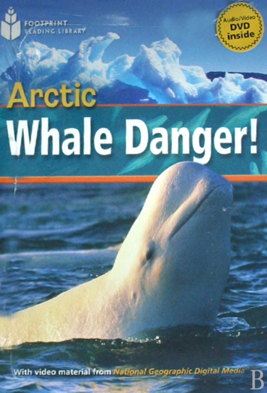 ARCTIC WHALE DANGER(附光盘)