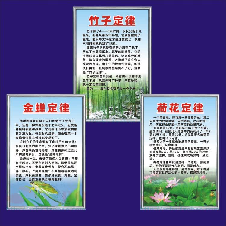 美识荷花定律挂画 成功三定律荷花定律金蝉定律竹子定律共3张激励志宣