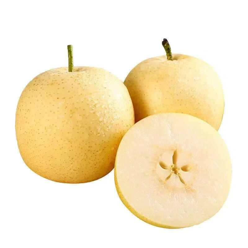 京活生鲜  河南方城正宗博望坡黄金梨  当季新鲜水果梨 家庭装 9斤 10
